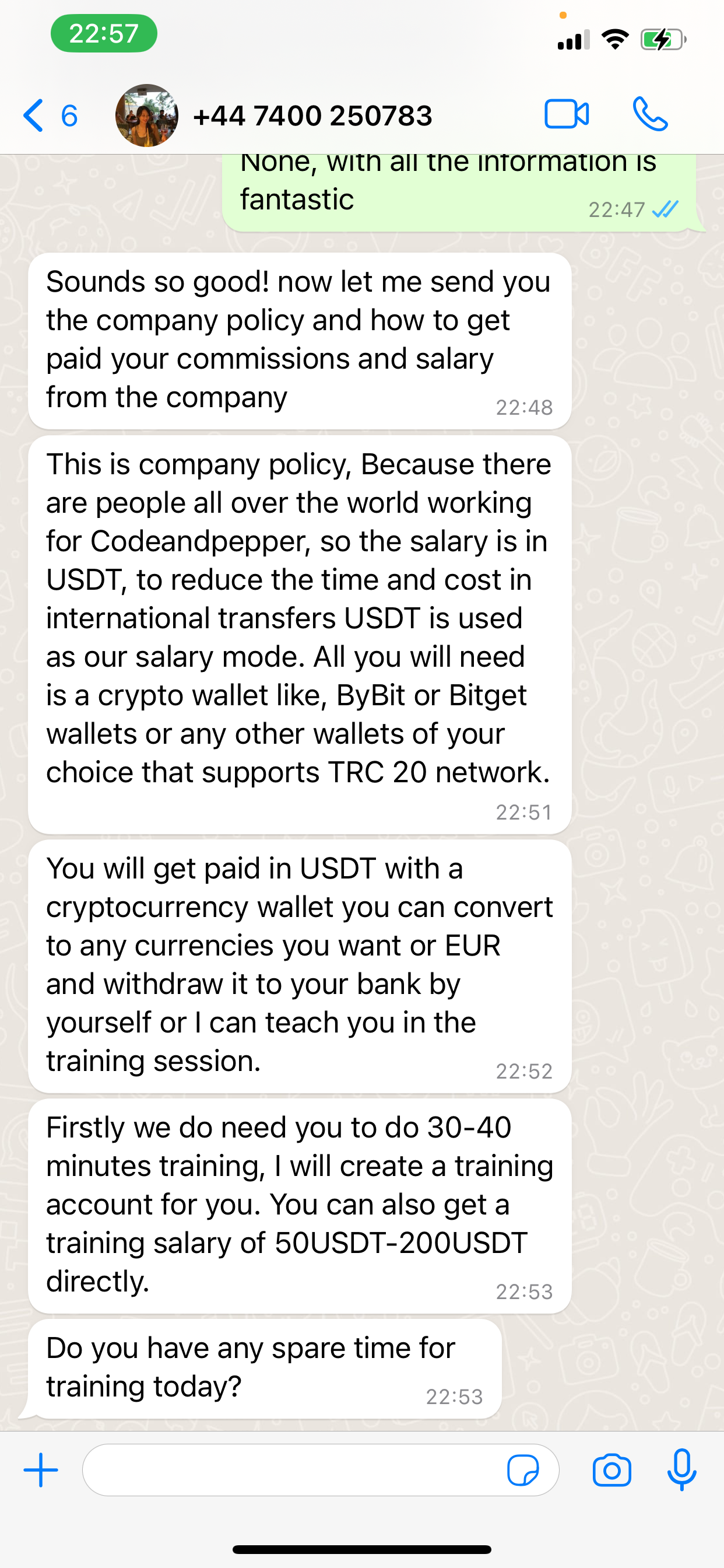 Visual example showcasing typical fraudulent WhatsApp messages.