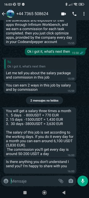 Visual example showcasing typical fraudulent WhatsApp messages.